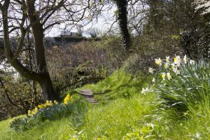 robin hoods bay april 2016 7 sm.jpg